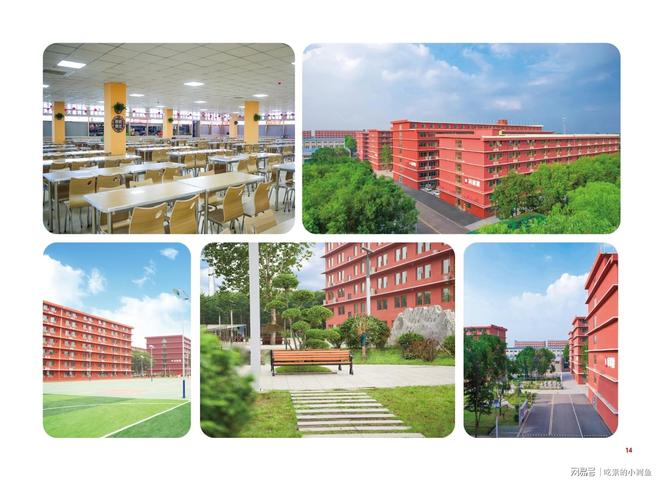 本丨山东专升本培训行业标杆爱游戏网站入口师大教育专升(图3)
