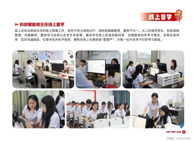 本丨山东专升本培训行业标杆爱游戏网站入口师大教育专升(图18)
